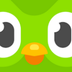 Duolingo Apk indir