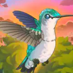 Bird Kind Apk indir