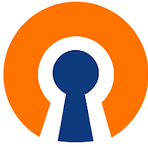 OpenVPN Connect Apk indir